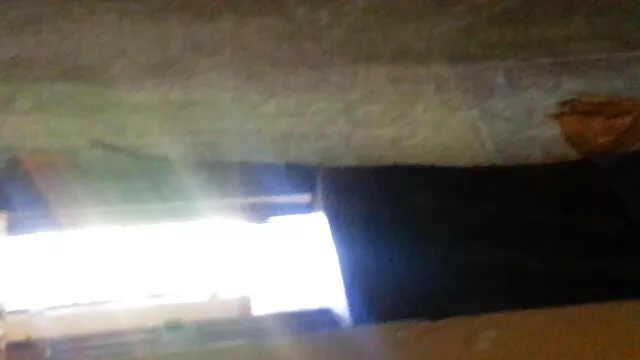 juguete videos amateur latino sexual